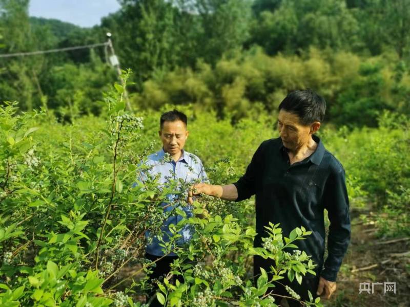 发现最美铁路｜铁路助力 “拉”动小镇“破茧开云体育 开云平台成蝶”(图1)